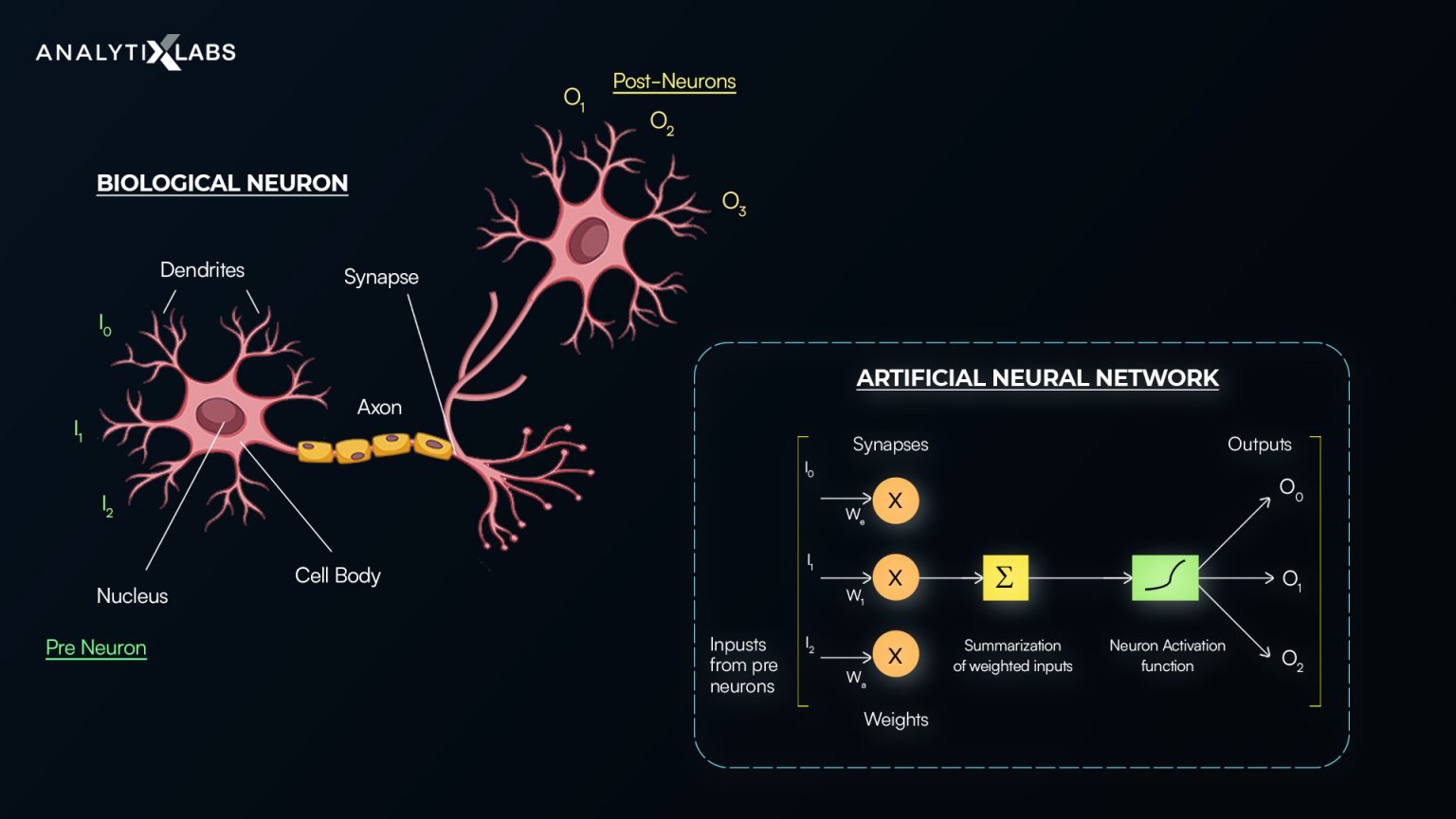 Neural network article