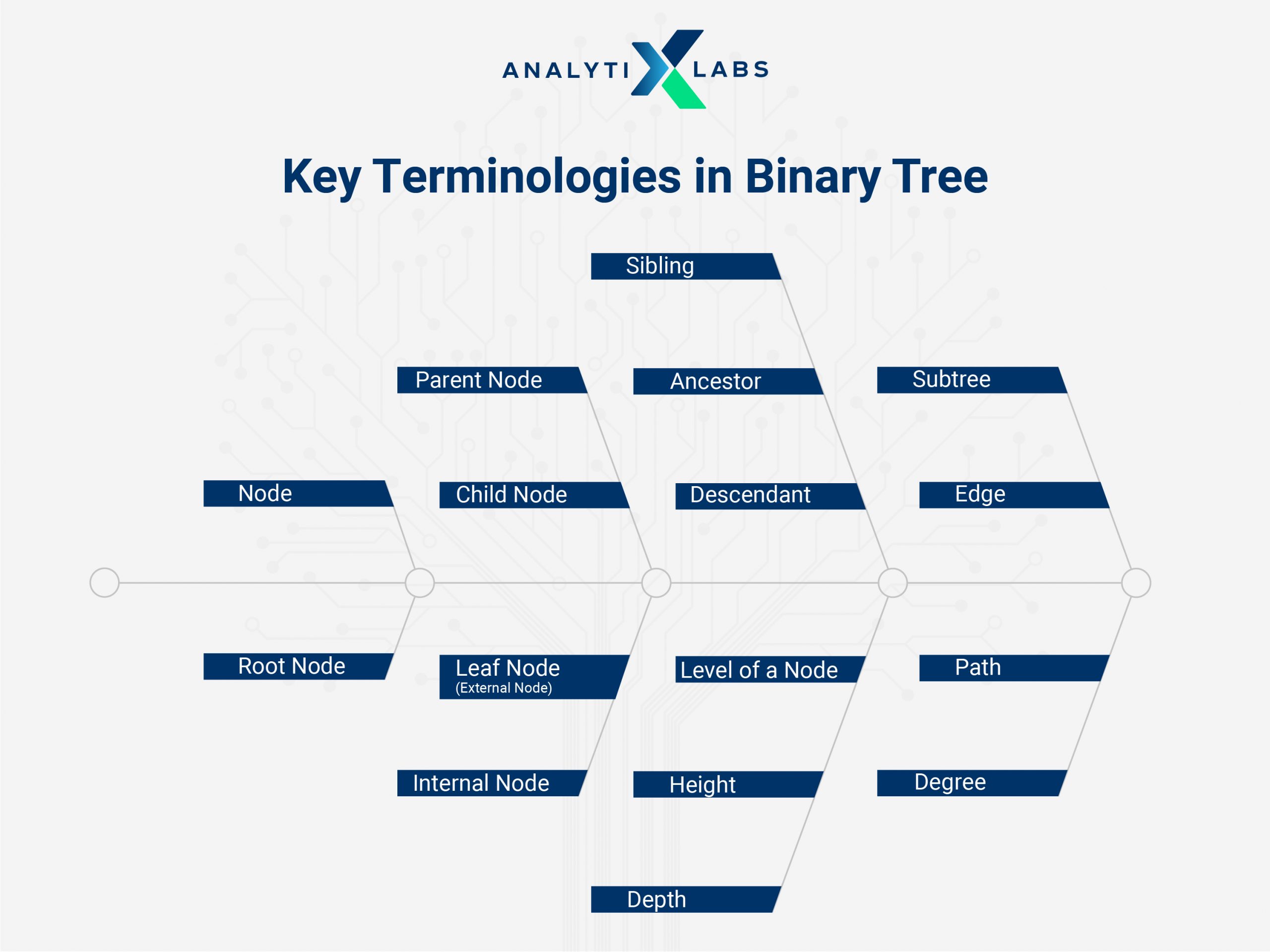 concepts of binary tree