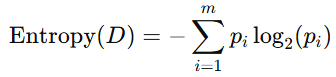 entropy equation