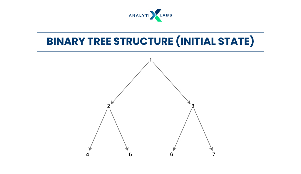 binary tree structure (initial stage)